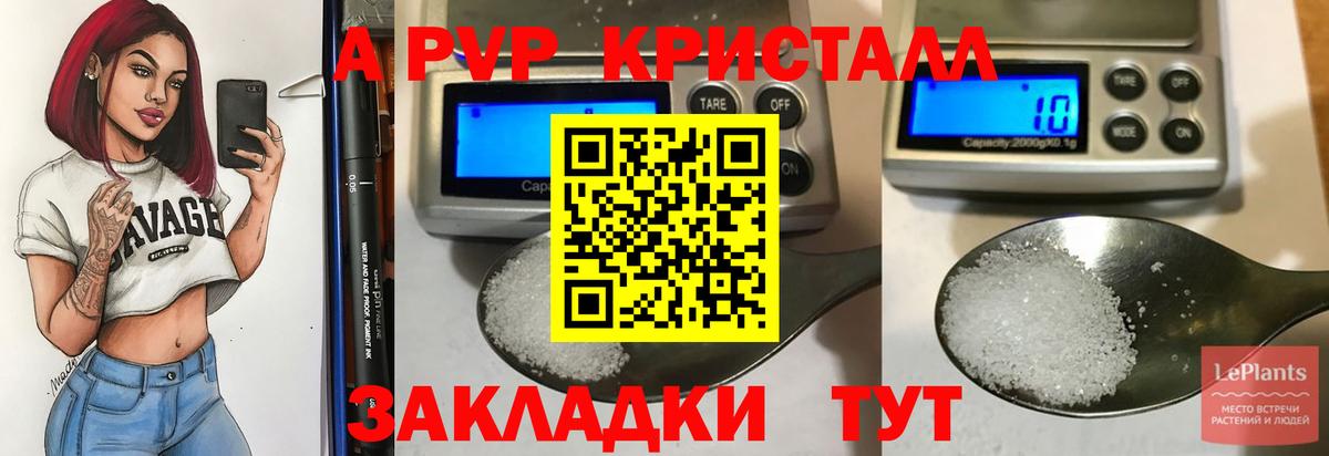 Можга  APVP СК КРИС  Вход с VPN 