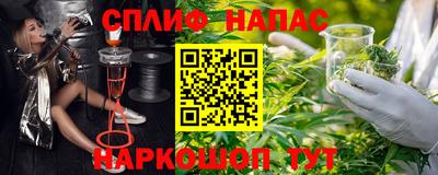 гашик Дубна