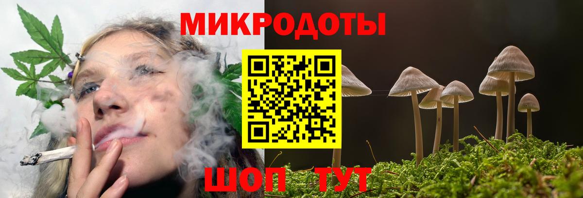 Псилоцибиновые грибы прущие грибы  Вход с VPN  Псилоцибиновые грибы GOLDEN TEACHER  Можга 